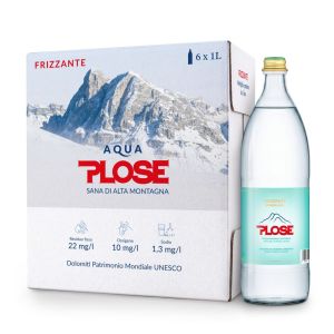 ACQUA PLOSE Easybox FRIZZANTE 1 lt. vetro a perdere