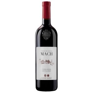 TEROLDEGO ROTALIANO Trentino DOC Ist. S. Michele Fondazione E. MACH